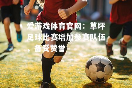 草坪足球比赛增加参赛队伍，备受赞誉