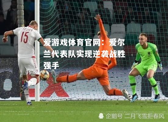 爱游戏体育官网：爱尔兰代表队实现逆袭战胜强手